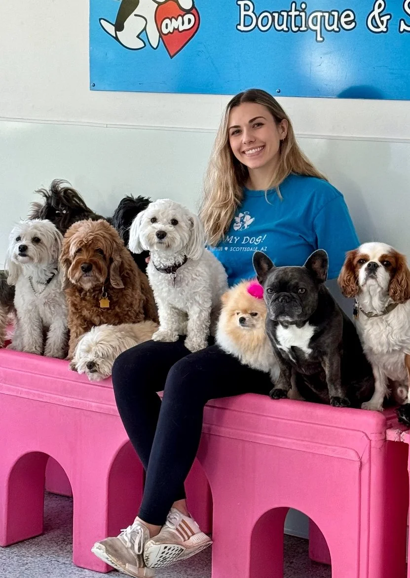 Oh my online dog training